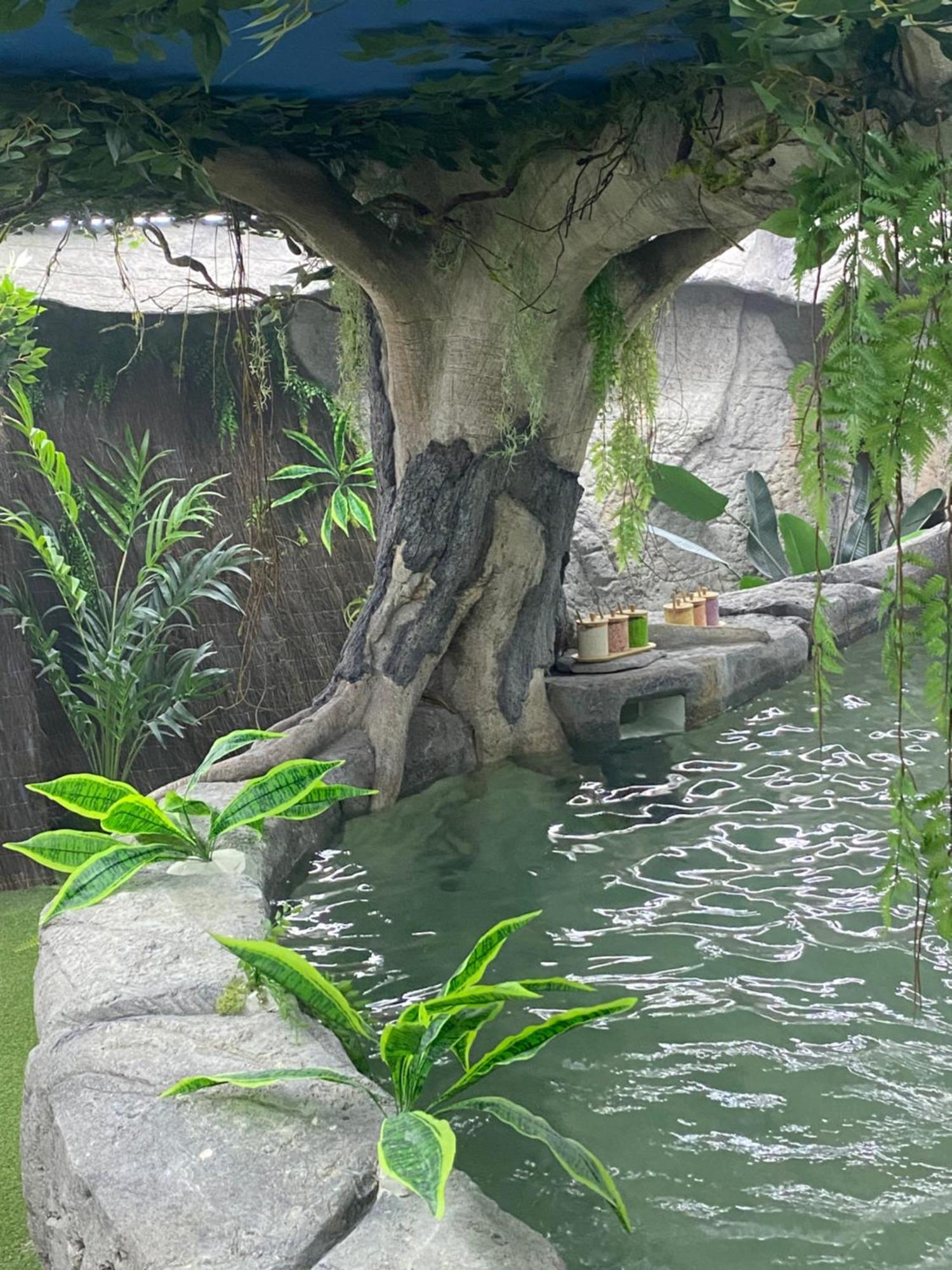 Futurotel Space Spa Garden グラナダ エクステリア 写真